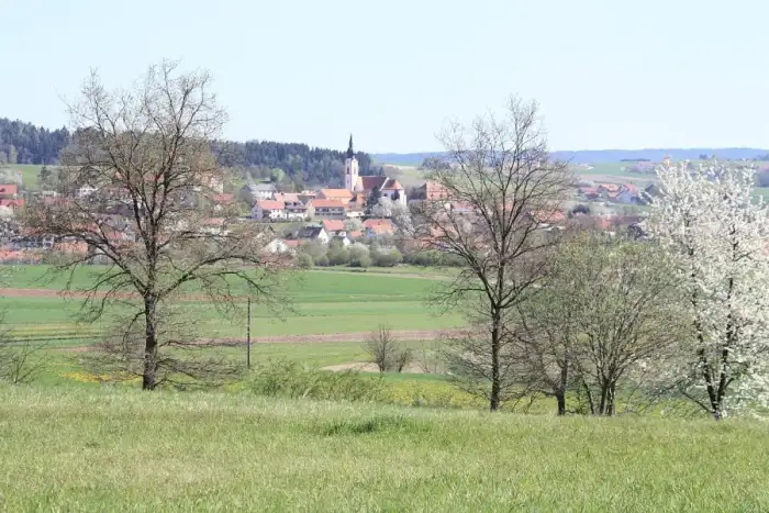 Altenthann, Ausschnitt