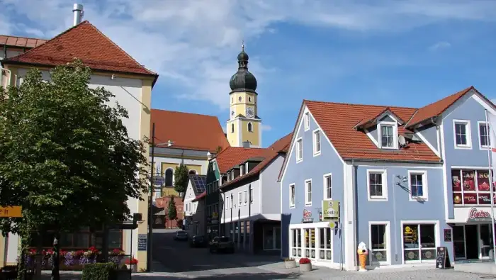 Schierling, Ausschnitt