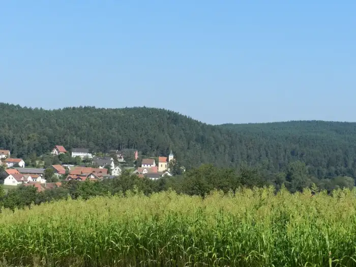 Schwarzach b.Nabburg, Ausschnitt