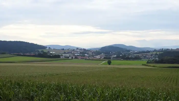 Willmering, Ausschnitt